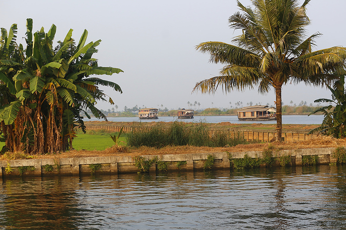 House boats with cocouny palm foreground, Allepey, Kerala, India House boats with cocouny palm foreground, Allepey, Kerala, India, by Zoonar RealityImages
