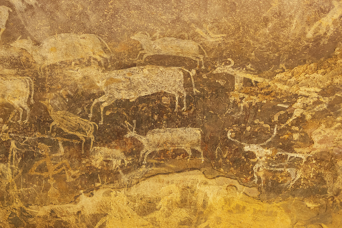 Painting of group of bulls with man at Bhimbetka Rock Shelters, Raisen, Madhya Pradesh, India. Painting of group of bulls with man at Bhimbetka Rock Shelters, Raisen, Madhya Pradesh, India., by Zoonar RealityImages