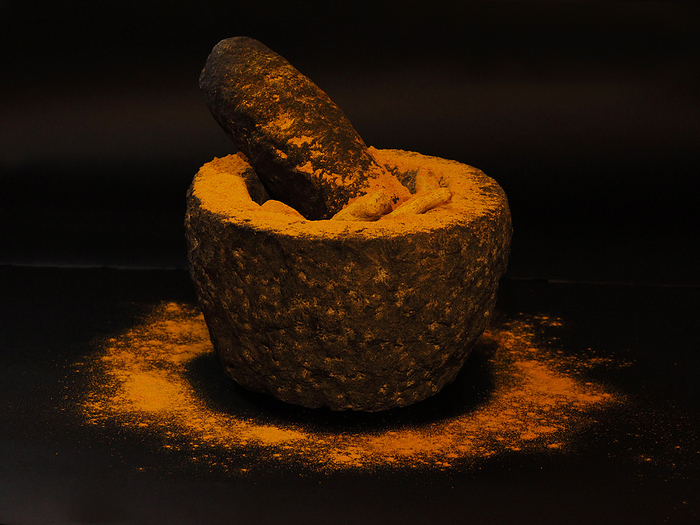 Turmeric in a stone grinder, Curcuma longa of the ginger family, Zingiberaceae Turmeric in a stone grinder, Curcuma longa of the ginger family, Zingiberaceae, by Zoonar RealityImages
