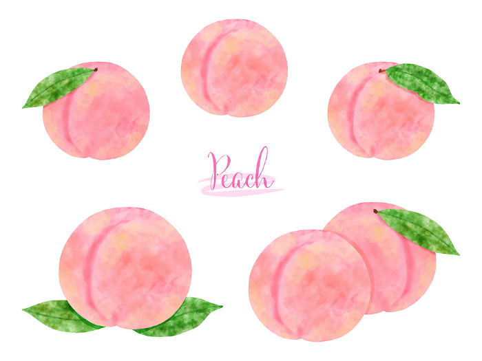 Illustration set of peach painted with watercolor