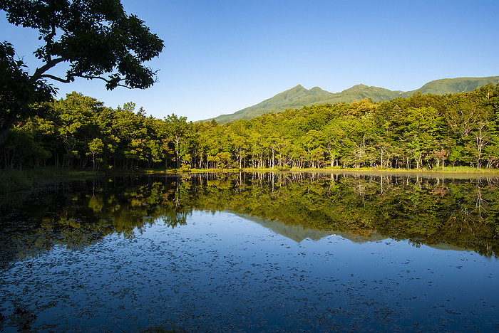 Shiretoko Five Lakes and Shiretoko Mountain Range Hokkaido Shiretoko Peninsula Taken at Shiretoko Peninsula and Shiretoko Five Lakes, a World Natural Heritage site. 