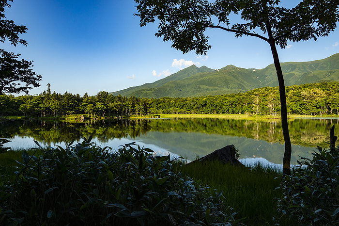 Shiretoko Mountain Range seen from Shiretoko Five Lakes, Hokkaido, Japan Shiretoko Peninsula Taken on the Shiretoko Peninsula, a World Natural Heritage site. 
