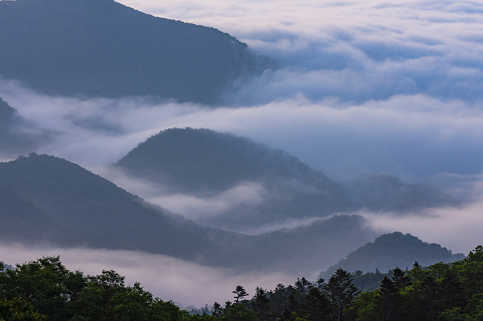 Sea of clouds Hokkaido Shiretoko Peninsula Taken at Shiretoko Pass, Shiretoko Peninsula, a World Natural Heritage site. 