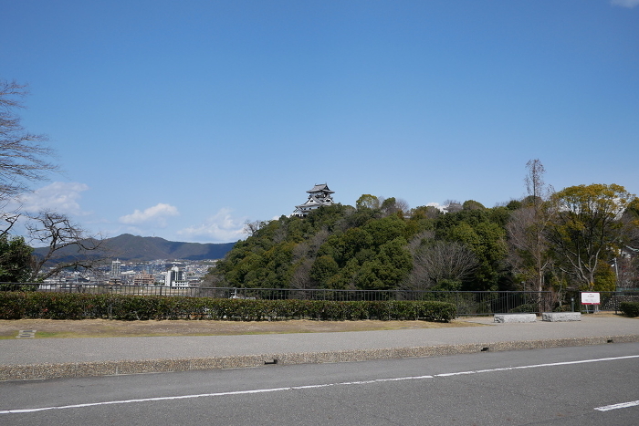 Inuyama Castle seen from the road
