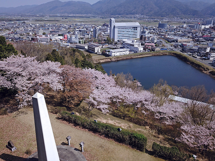 Cherry blossoms in Kameoka Heiwadai Park and downtown Kameoka Obtained a nationwide comprehensive flight permit from the Ministry of Land, Infrastructure, Transport and Tourism, and photographed within the scope of the Civil Aeronautics Law.
