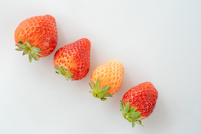 Strawberry Eating Comparison