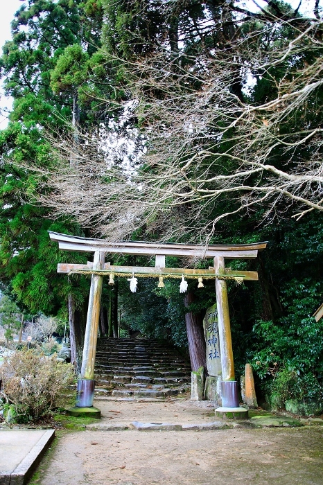 Omiya-san and Kamikamon-san in Oba... Japan's oldest shrine structure, a national treasure, the main shrine [Kamikamon Shrine].