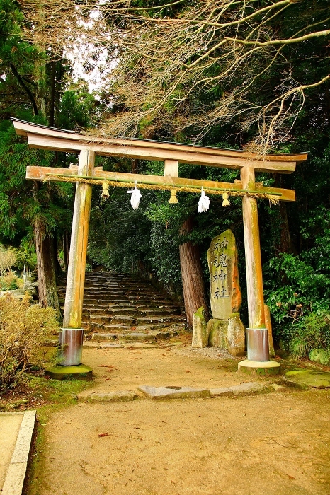 Omiya-san and Kamikamon-san in Oba... Japan's oldest shrine structure, a national treasure, the main shrine [Kamikamon Shrine].