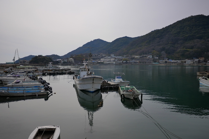 Scenery of a fishing port