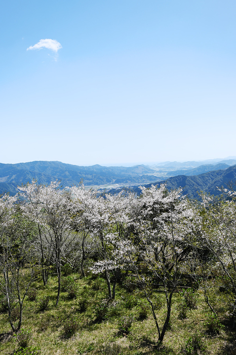 Beautiful view of Miyazaki from Hanatate Park