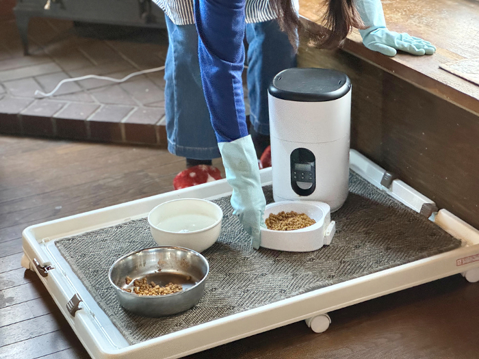 Woman's hand setting automatic cat feeder