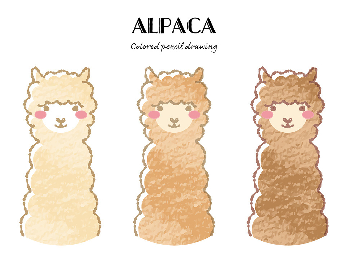 Simple and cute fuzzy alpaca set with colored pencil touch (front facing face)