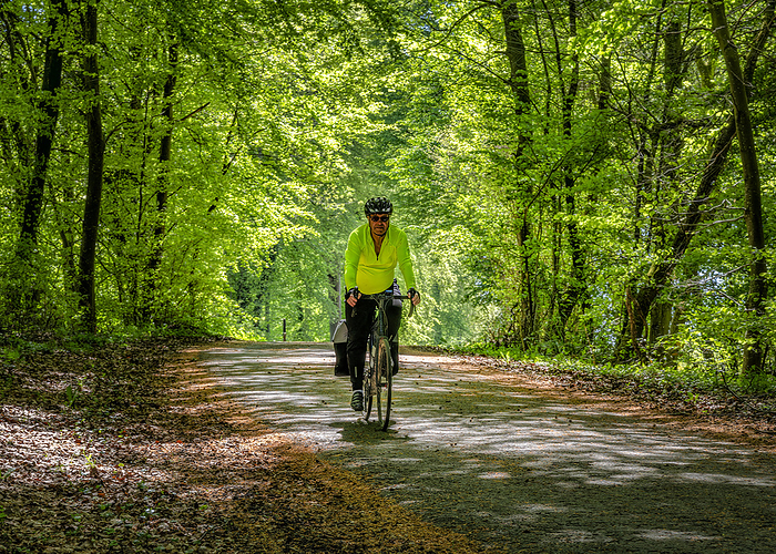 Senior man cycling on Avenue Verte cycle route in forest