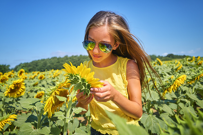 Girl wearing sunglasses and looking at sunflower in field