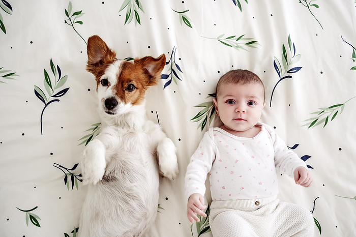 Cute baby girl lying on bed with dog at home