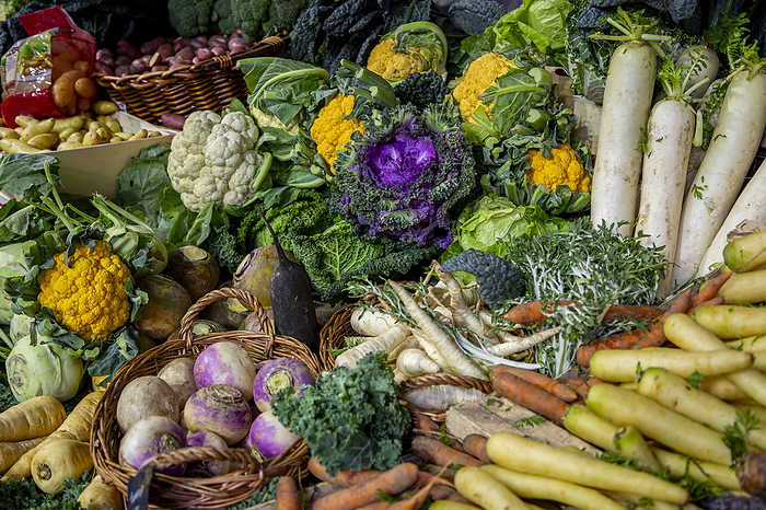 Variety of fresh organic vegetables