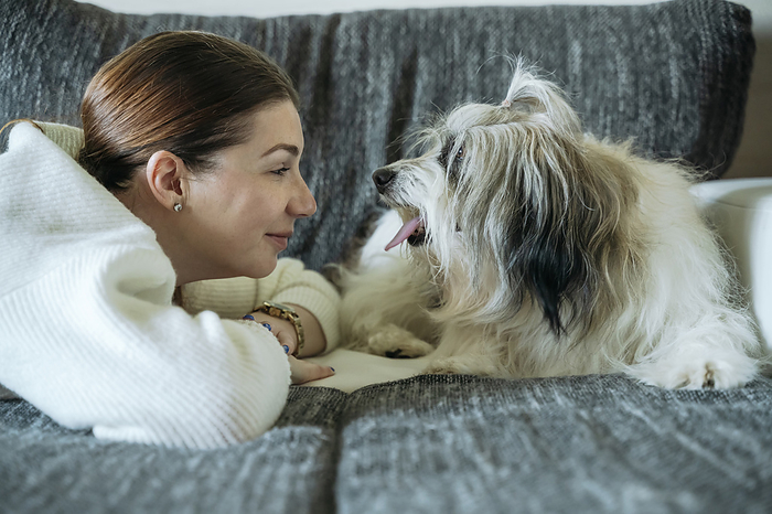 Smiling woman lying face to face with dog on sofa at home