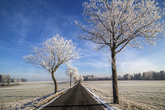 Straight country road in winter