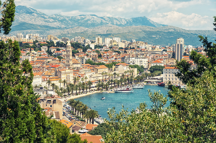 Croatia Croatia, Split Dalmatia County, Split, Coastal cityscape with treelined promenade