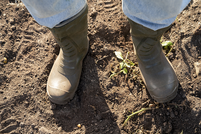 Farmer wearing rubber boots standing on soil in farm