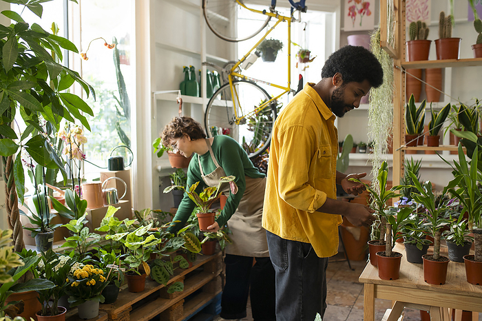 Multiracial colleagues assisting each other working in plant store