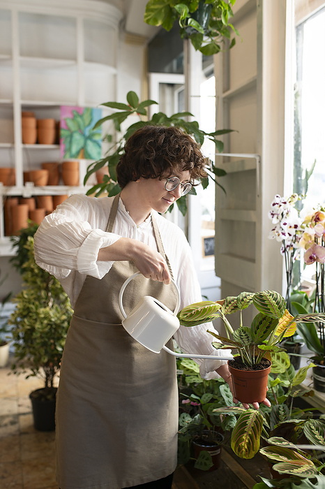 Botanist pouring water in potted plant at nursery