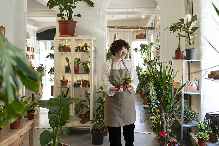 Botanist holding succulents and walking in plant shop