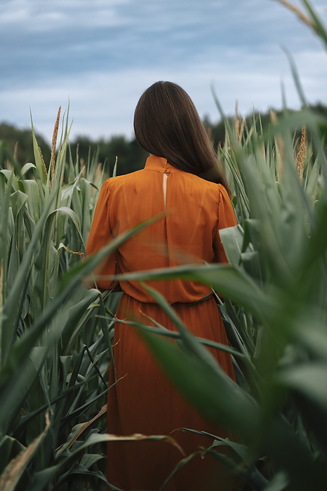 Woman standing amidst corn crops in field