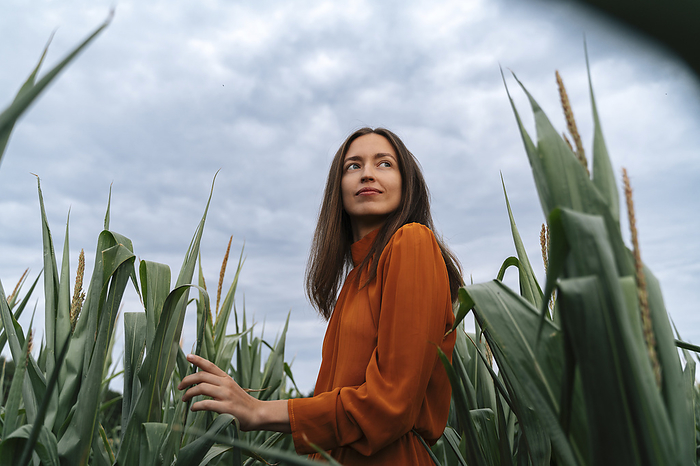 Smiling thoughtful woman amidst corn crops in field