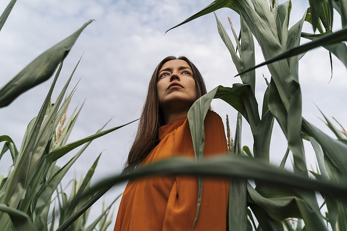 Thoughtful woman amidst crops in field