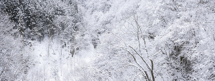 Matsukawa Valley in winter, Nagano Prefecture