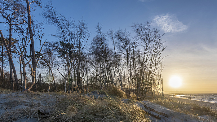 Evening sun with dunes and windswept cliffs, Weststrand, Baltic Sea, Prerow, Mecklenburg-Vorpommern, Germany, by Stephan Schulz