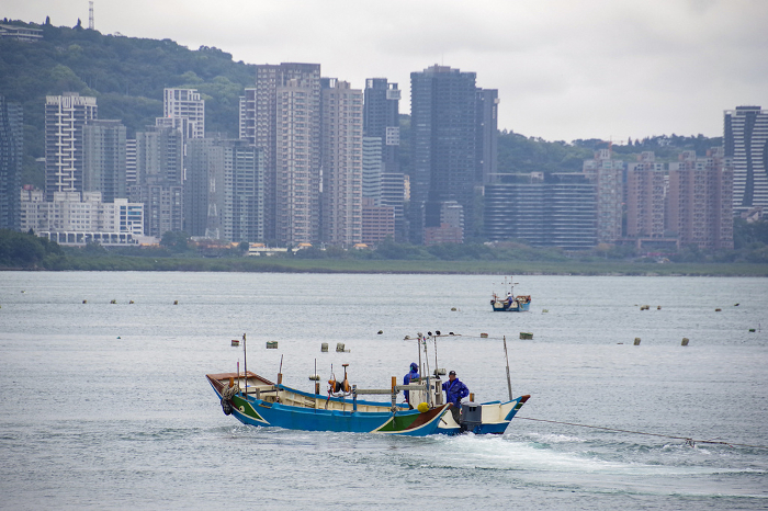Fishing boats harvesting mussels and the streets of Danshui