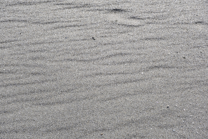 Wind ripples on beach sand