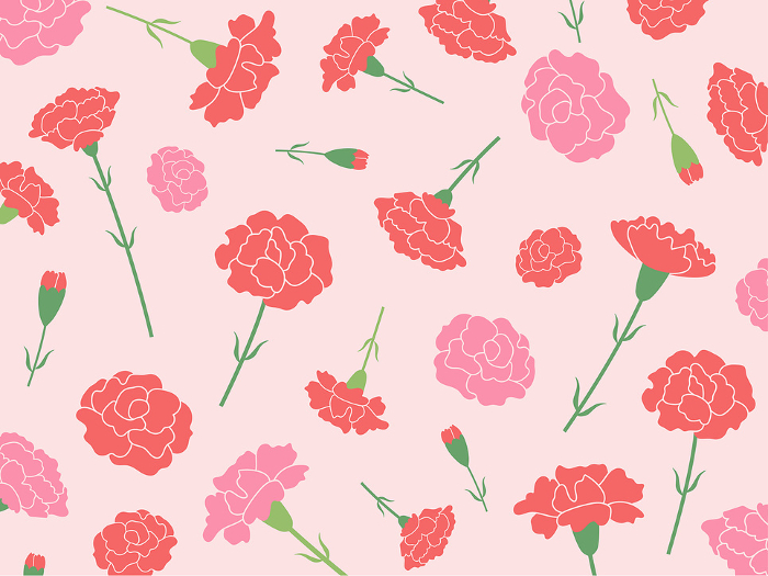 Carnation pattern background_vector illustration