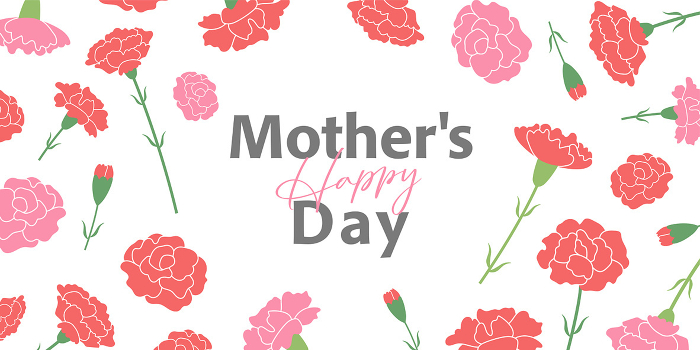 Mother's Day carnation banner (2:1) _ vector illustration