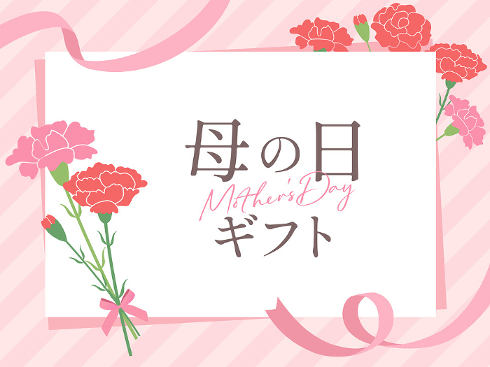 Mother's Day gift banner of carnations_vector illustration