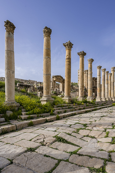 The ancient Roman city of Gerasa, Jerash in Jordan, Asia, by Axel Schmies