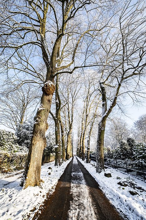 Alley in Blankenese, Hamburg, Winter impressions, Northern Germany, Germany, by Arnt Haug
