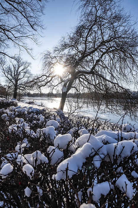 Outer Alster in Hamburg, Winter impressions, Northern Germany, Germany, by Arnt Haug