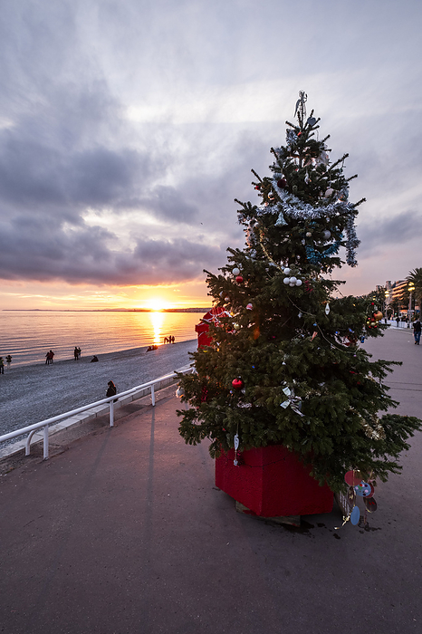 Sunset on the Promenade des Anglais in Nice, Nice in winter, South of France, Cote d'Azur, France, Europe, by Arnt Haug