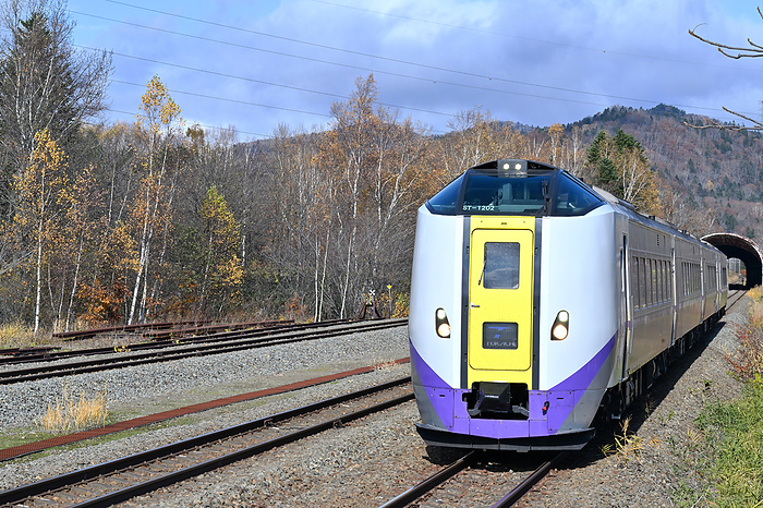 Hokkaido Ishikatsu Line Kiha 261 Series Limited Express Tokachi Taken at Shimukappu Station