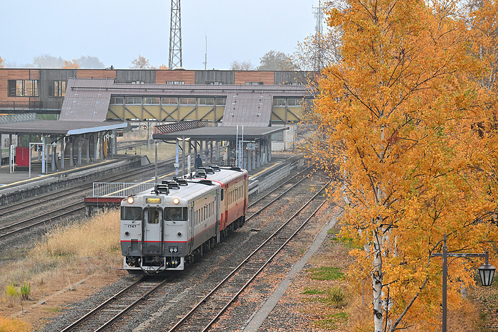 A diesel train of the Kiha 40 class departs from Furano Station on the Nemuro Main Line in Hokkaido. Taken at Furano Station   Nohana Minami Station