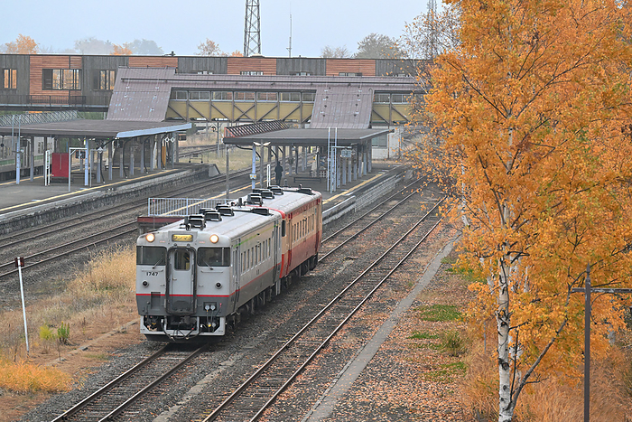 A diesel train of the Kiha 40 class departs from Furano Station on the Nemuro Main Line in Hokkaido. Taken at Furano Station   Nohana Minami Station
