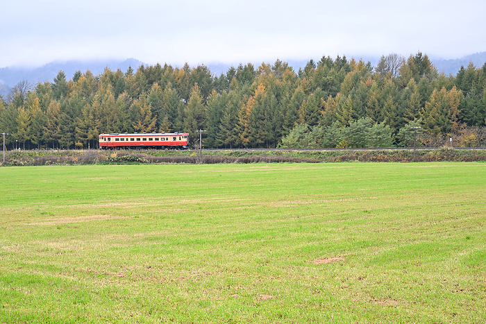 Hokkaido Nemuro Main Line, Type Kiha40 diesel train with yellow leaves in the background. Taken at Yamabe Station   Shimokaneyama Station