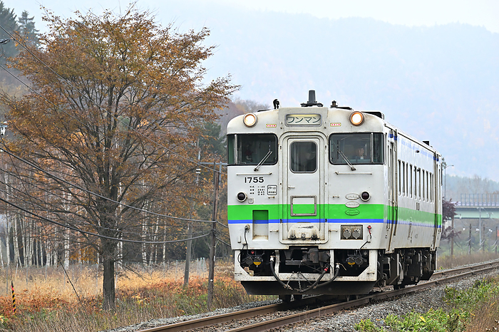 Hokkaido Nemuro Main Line Yellow Leaved Trees and a Diesel Train Type Kiha40 Taken at Nohana Minami Station   Furano Station