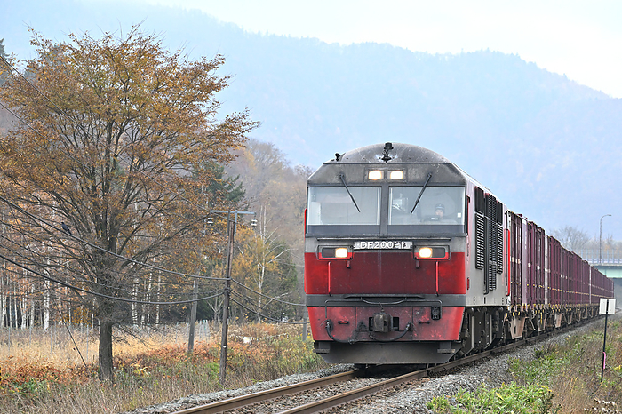 Hokkaido Nemuro Main Line Yellow Leaves Trees and DF200 Traction Freight Train Taken at Nohana Minami Station   Furano Station