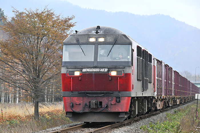 Hokkaido Nemuro Main Line Yellow Leaves Trees and DF200 Traction Freight Train Taken at Nohana Minami Station   Furano Station