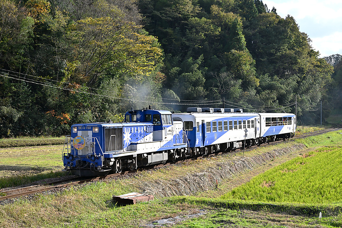 Sightseeing trolley Okuizumo Orochi go running with yellow leaves on the Kisuki Line, Shimane Prefecture Taken at Izumo Sansei Station   Izumoyashiro Station. Okuidumo Orochi go will end operation on its last run on November 23, 2023.