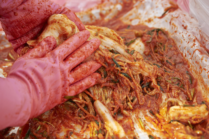Woman's hand pickling kimchi